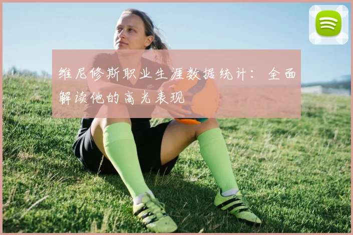 维尼修斯职业生涯数据统计：全面解读他的高光表现